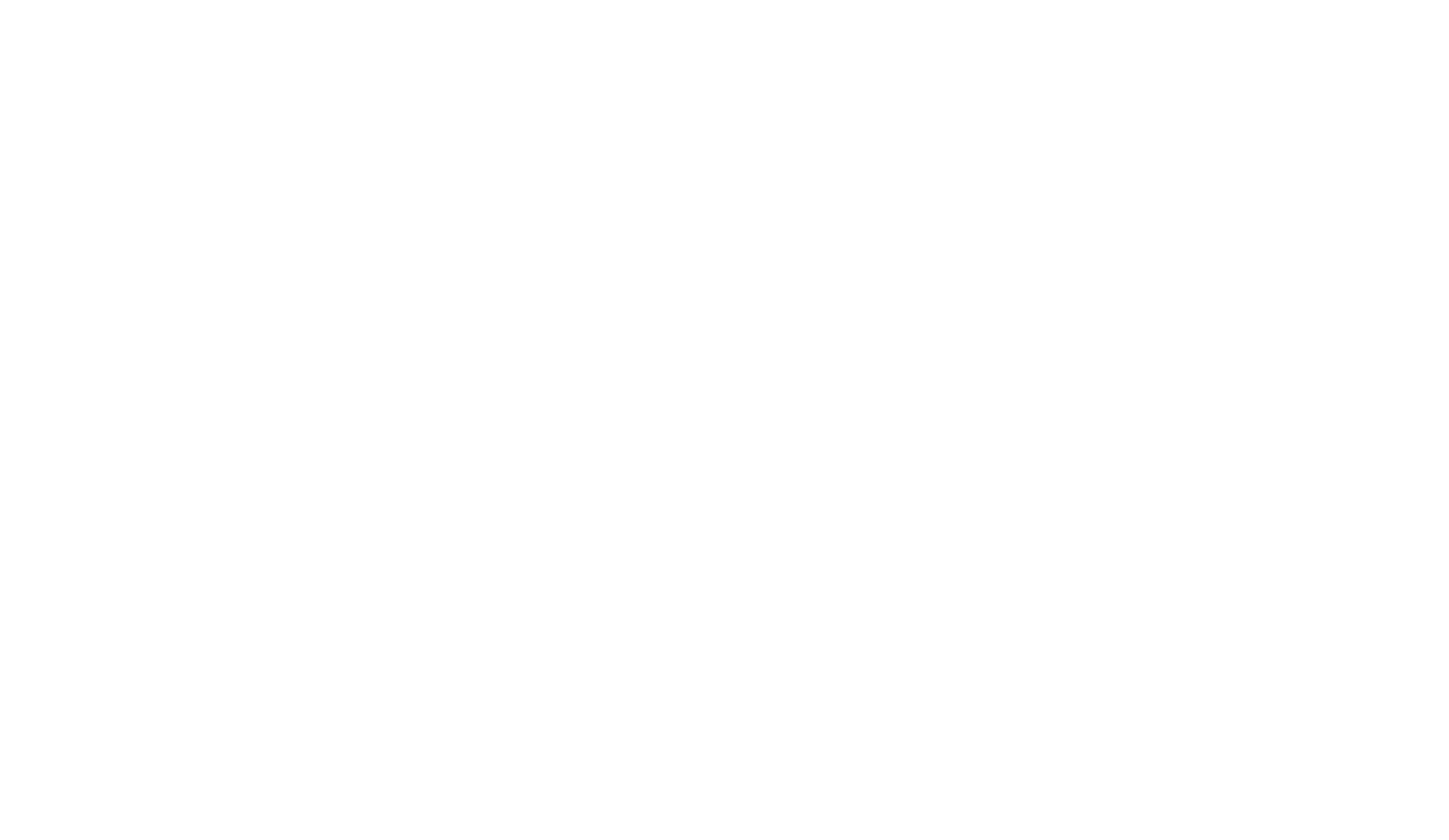 Tribeca Film Festival 2024 Official Selection